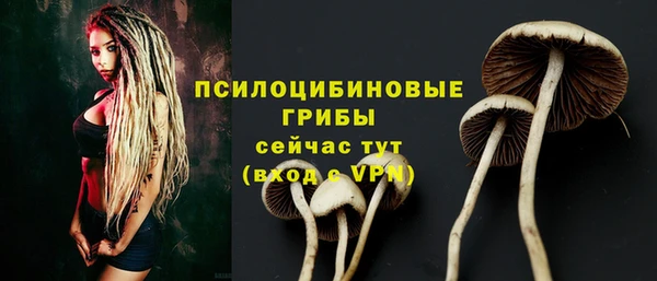 молекула духа Алексин