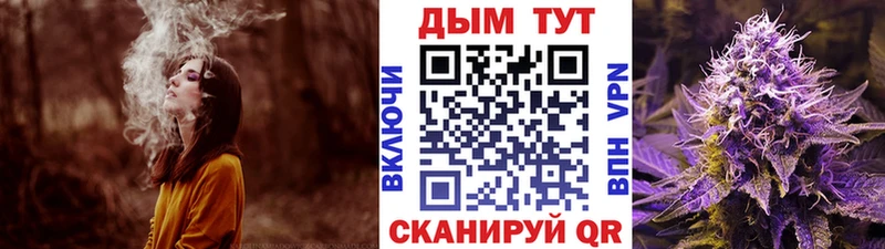 Конопля план  Сосновка 